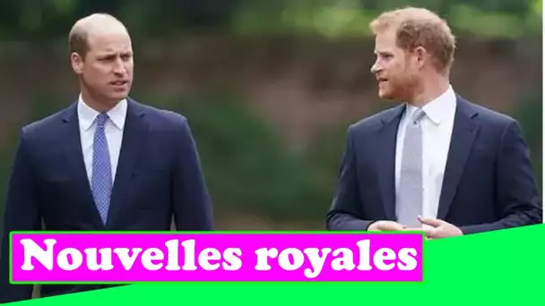 Le prince Harry et William ne verront JAMAIS « les yeux sur les yeux » en tant que frères « pas en b