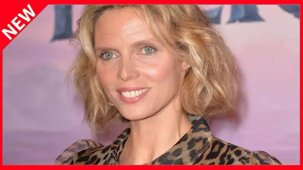 ✅  Polémique à Miss France : la proposition de Sylvie Tellier à la candidate évincée