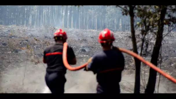 Incendies en Gironde : ces bénévoles, artisans et agriculteurs, qui aident les pompiers