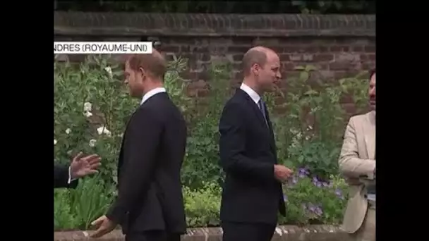 « 5 mètres entre Harry et William » : des retrouvailles mais à bonne distance