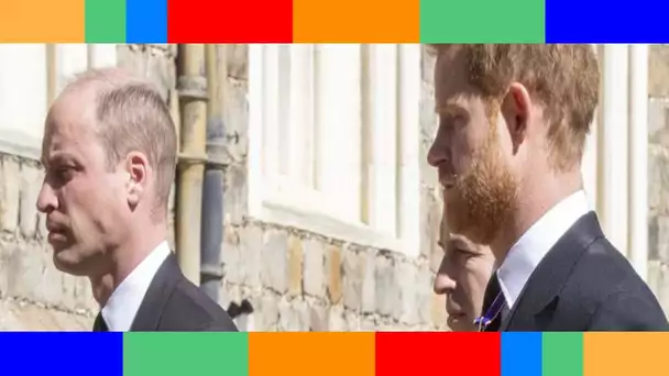 Harry et William irréconciliables à cause de Meghan Markle ? Pourquoi il s’éloignent…