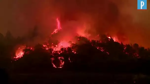 Etats-Unis : les vignobles de la Napa Valley ravagés par les flammes