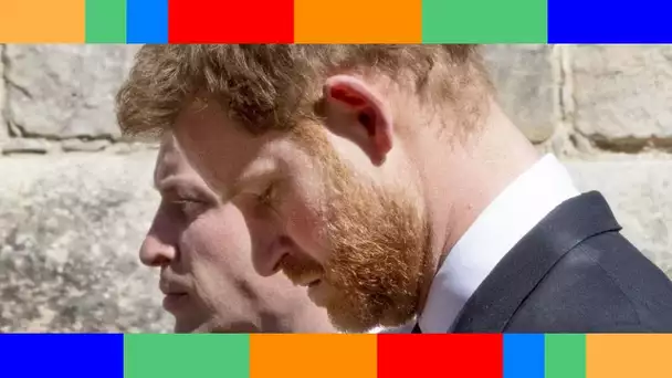 👑  William et Harry : ce qu'ils se seraient dit lors des funérailles de leur grand-père, le prince