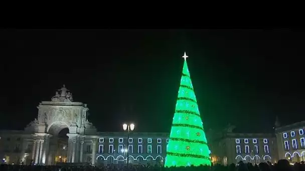 Les sapins de Noël s'installent en ville