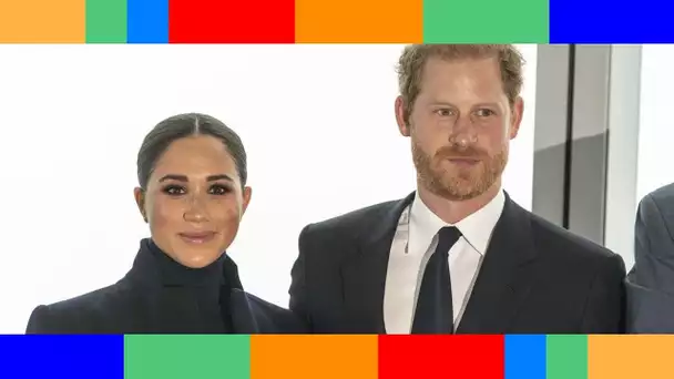 Ils n'y connaissent rien  Harry et Meghan âprement critiqués après leur dernière annonce