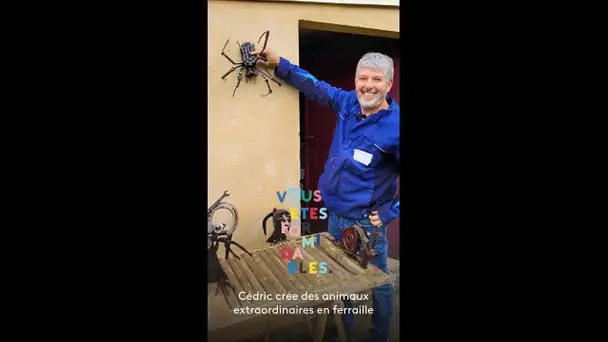 Cédric crée des animaux extraordinaires en ferraille