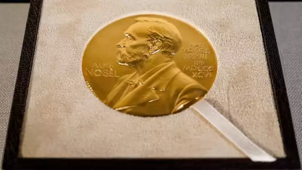 Le prix Nobel de la paix 2020 décerné au Programme alimentaire mondial des Nations unies