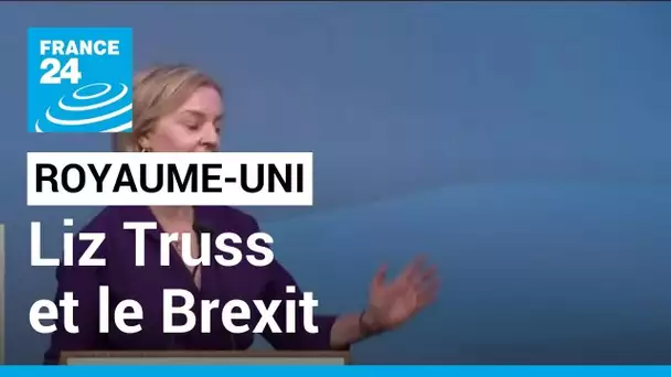 Royaume-Uni : le Brexit, point de départ du "virage à droite" de Liz Truss ? • FRANCE 24