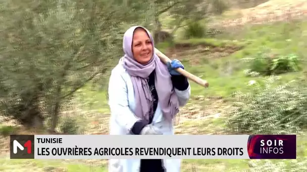 Tunisie : Les ouvrières agricoles revendiquent leurs droits