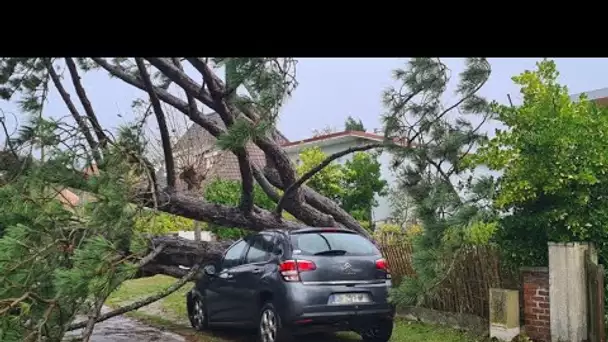 Tempêtes Ciaran et Domingos : les assureurs estiment les dommages à 1,3 milliard d'euros