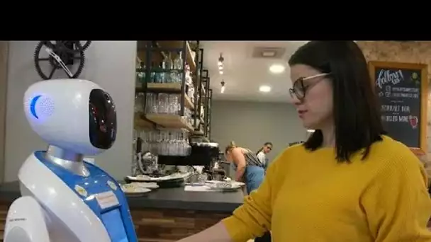 A Budapest, des robots font le service