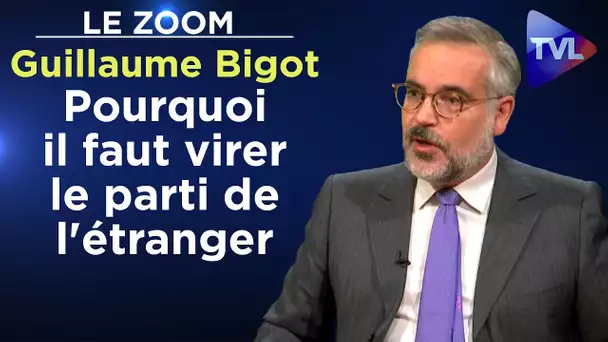 Pourquoi il faut virer le parti de l'étranger - Le Zoom - Guillaume Bigot - TVL