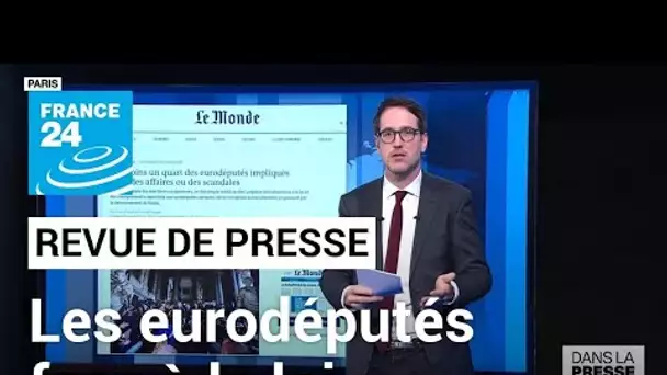 Un quart des eurodéputés impliqués dans une infraction à la loi • FRANCE 24