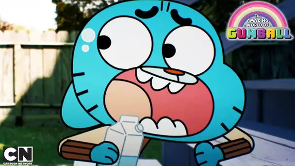 La peur de sa vie | Le Monde Incroyable de Gumball | Cartoon Network