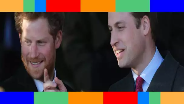 Harry et William  pourquoi Noël est source de tension pour les deux frères