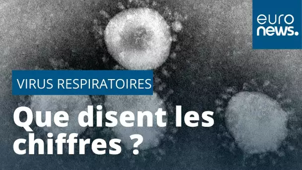 Virus respiratoires : SRAS, MERS, H1N1, grippe saisonnière... Que disent les chiffres ?