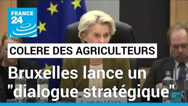 Europe : Bruxelles lance un "dialogue stratégique" avec le secteur agricole • FRANCE 24