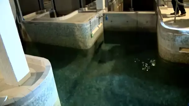 Descente au cœur de l&#039;adduction d&#039;eau potable vers Paris