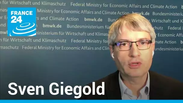 Sven Giegold, secrétaire d'État allemand : "L'Allemagne n'est pas isolée" • FRANCE 24