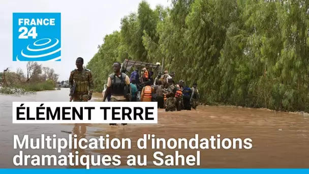 Inondations au Sahel: le réchauffement du Sahara et de l'Atlantique en cause • FRANCE 24