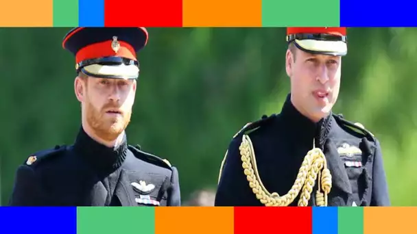 William jaloux de son frère Harry ? Cette théorie fumeuse d’un proche de Meghan Markle…