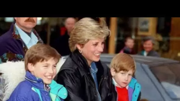 Lady Diana : cette dernière conversation que le prince William regrette tant