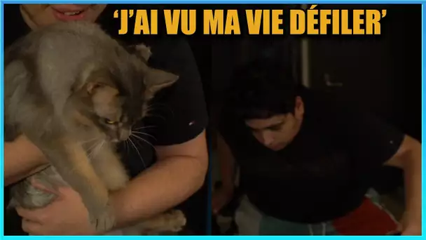 KAMETO PRÉSENTE SON CHAT ET GLISSE SUR SA CHAISE