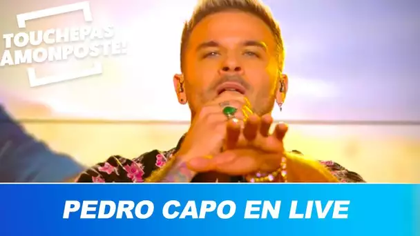 Pedro Capo - Calma (Live @TPMP)