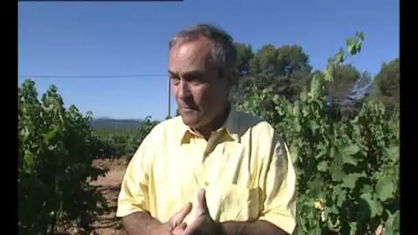 La Route des Vins - Provence