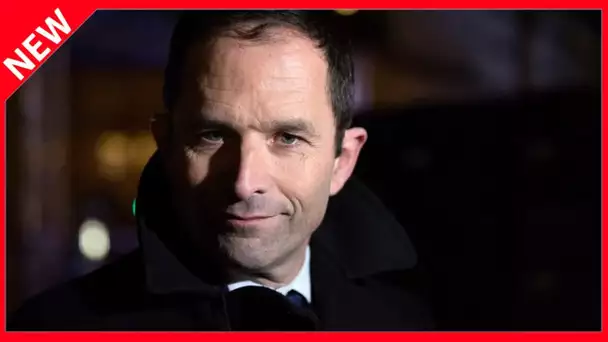 ✅  Que devient Benoît Hamon ?