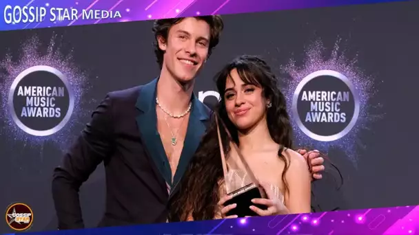 Shawn Mendes et Camila Cabello aperçus en pleine dispute ? Un témoin balance