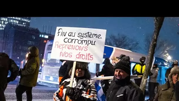 Convoi de la liberté : les manifestants arrivent, les autorités se préparent