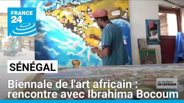 Biennale de l'art africain à Dakar : rencontre avec Ibrahima Bocoum • FRANCE 24