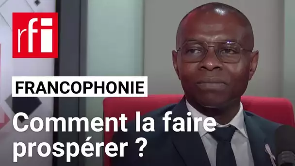 Thani Mohamed Soilihi: «La France s'engage énormément dans le cadre de la Francophonie» • RFI