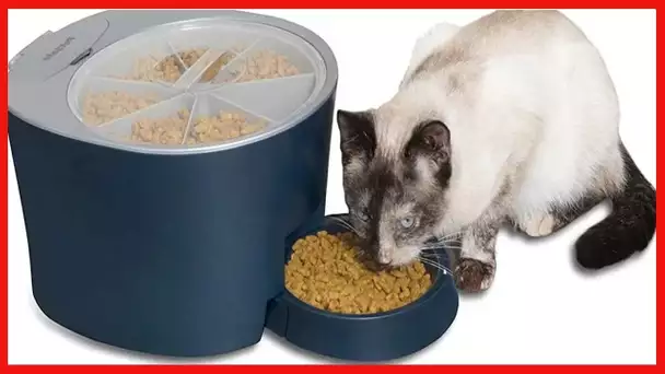 PetSafe 6 Meal Programmable Pet Food Dispenser, Automatic Dog and Cat Feeder - Dry Kibble or SemI