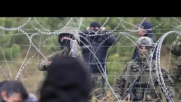 Migrants : la Pologne envoie des renforts à la frontière avec le Bélarus