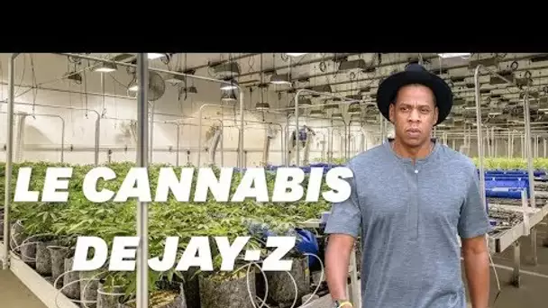 Jay-Z se lance dans le commerce de cannabis en Californie