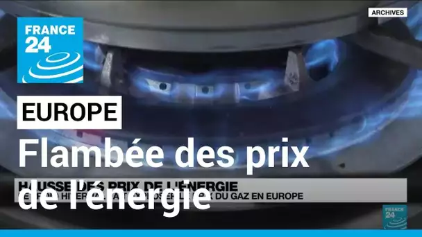 Europe : le froid hivernal fait exploser le prix du gaz • FRANCE 24