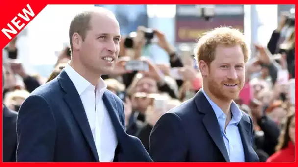 ✅  Retour du prince Harry en Grande-Bretagne : son frère William à la fois “heureux” et “inquiet”