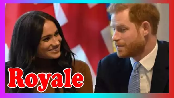 Meghan et le prince Harry ont privé la famille royale de l3ur propre vie privée avec le chat d'Oprah