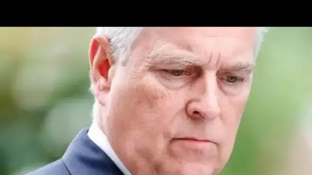 Le coût du règlement juridique du prince Andrew avec Giuffre "aura été des millions"