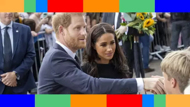 Meghan Markle : comment Sophie de Wessex est devenue une de ses seules alliées