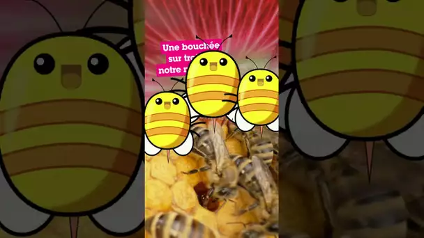 WOW : Les abeilles sont incroyables ! 🐝 🐝 🐝 #LesChampionsDuClimat #Abeilles  | @CartoonNetworkFR