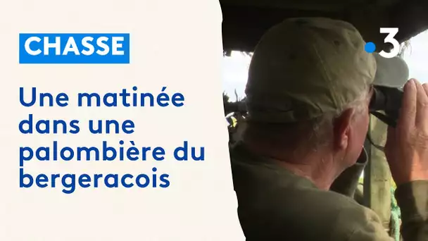 Chasse : une matinée dans une palombière