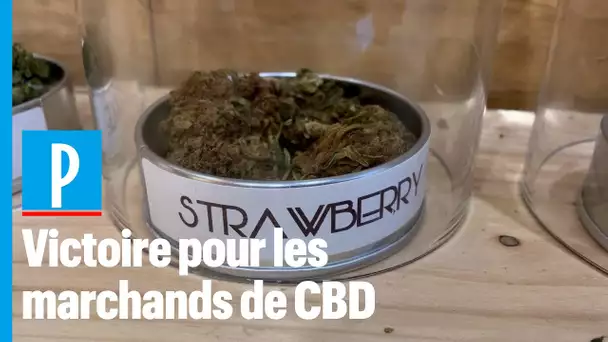 Cour européenne de justice : le soulagement des vendeurs de CBD français