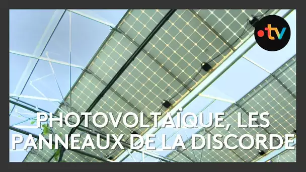 L'expansion du photovoltaïque cristallise les débats