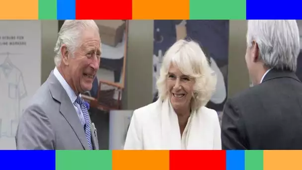 Le prince Charles et Camilla plus amoureux que jamais : la photo du bonheur