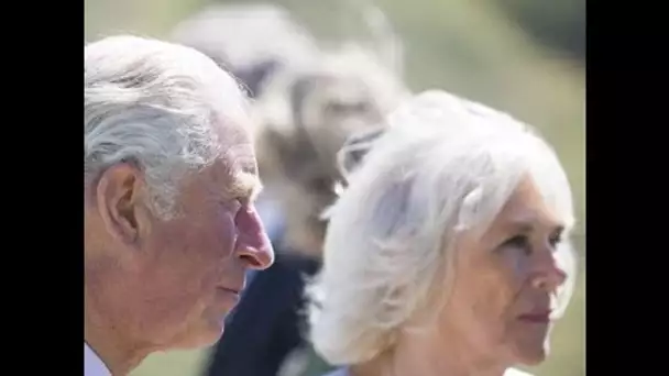 Archie fête ses 2 ans : le prince Charles et Camilla partagent une tendre photo