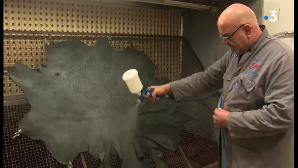 INSOLITE. Dans le Cantal, à la rencontre du seul tanneur de peau d'autruche de France