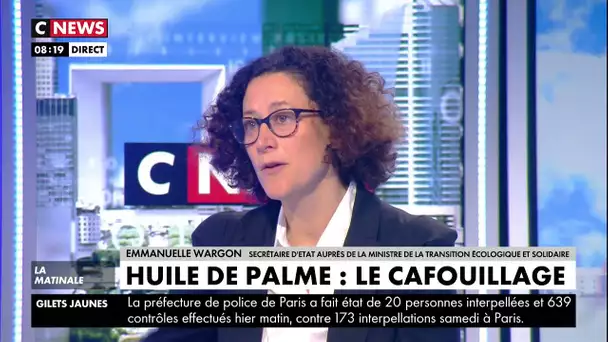 Emmanuelle Wargon : «La France s'est engagée à lutter contre la déforestation importée»